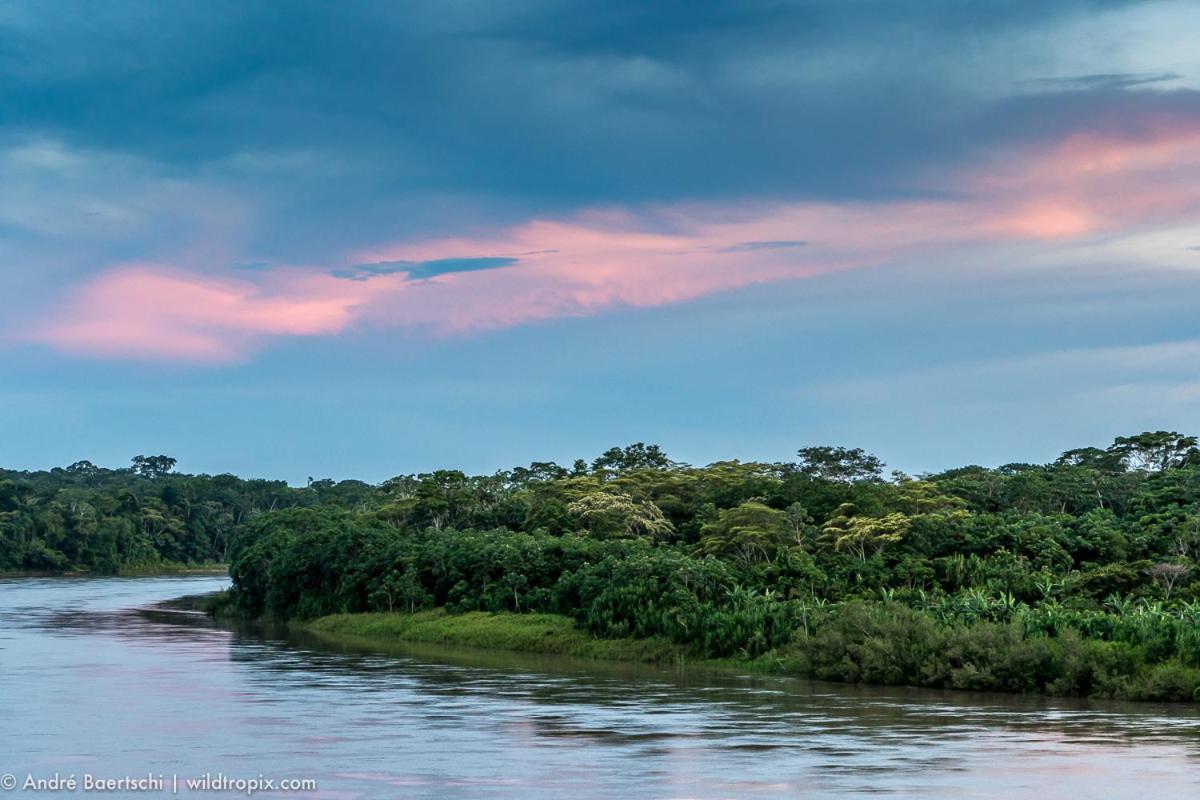 הוילה פוארטו מלדונדו Casa Amazonas מראה חיצוני תמונה